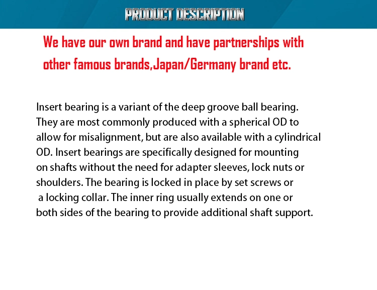 Awesome Price CS Series Insert Bearing Hot Sale Japan American Germany Sweden Different Well-Known Brand Factories